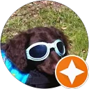 Peter Eisner Profile Picture